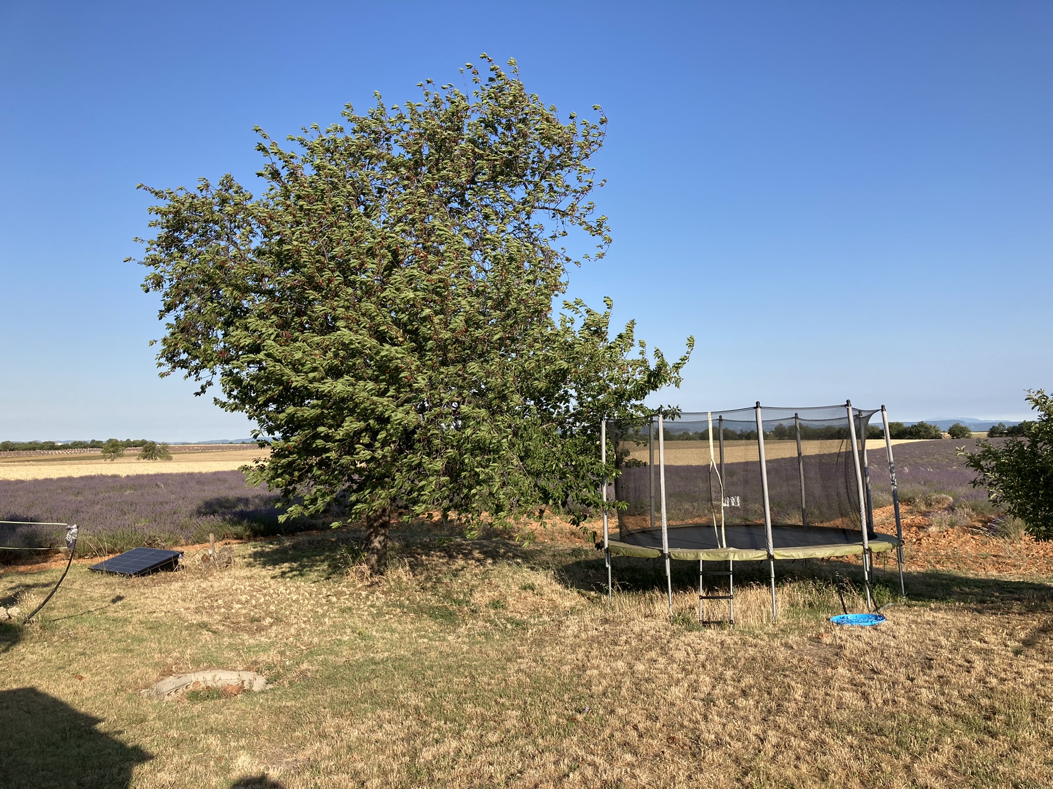 Ruime tuin met Trampoline