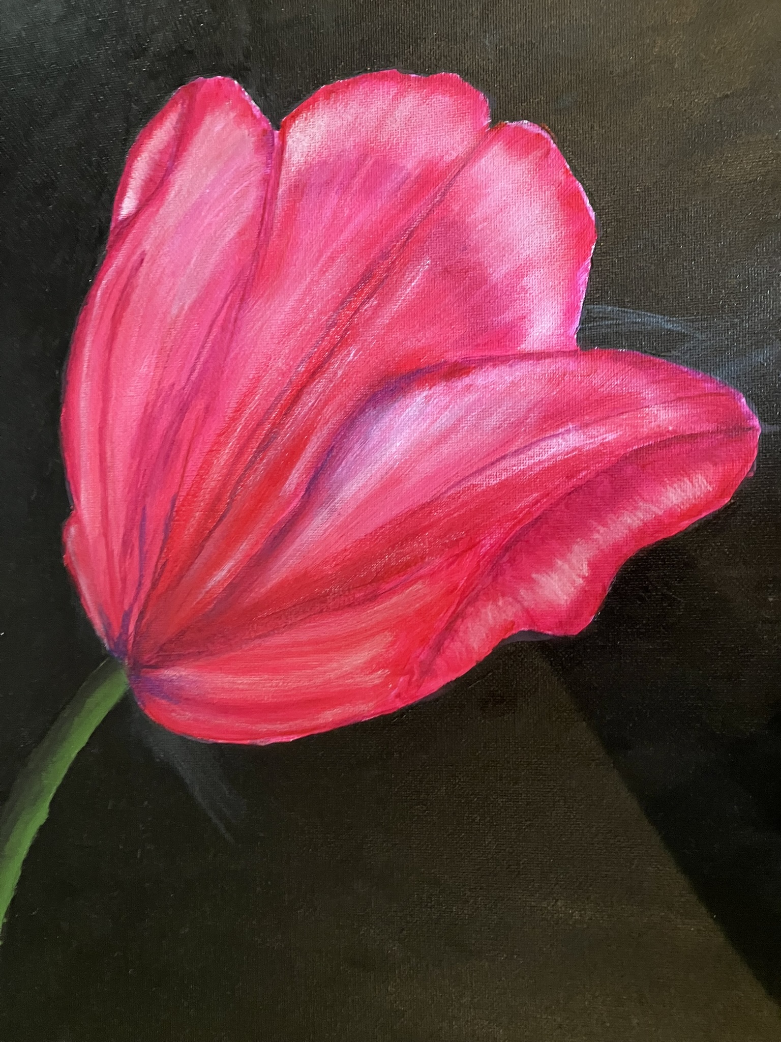 Second tulip